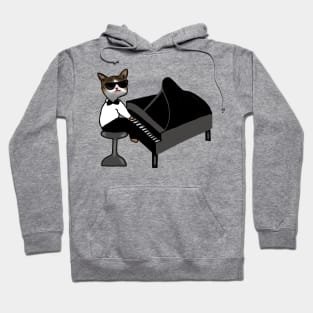 Funny Cat Playing Piano Gift Hoodie